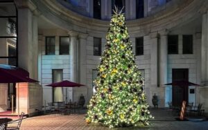 Artificial Christmas Trees